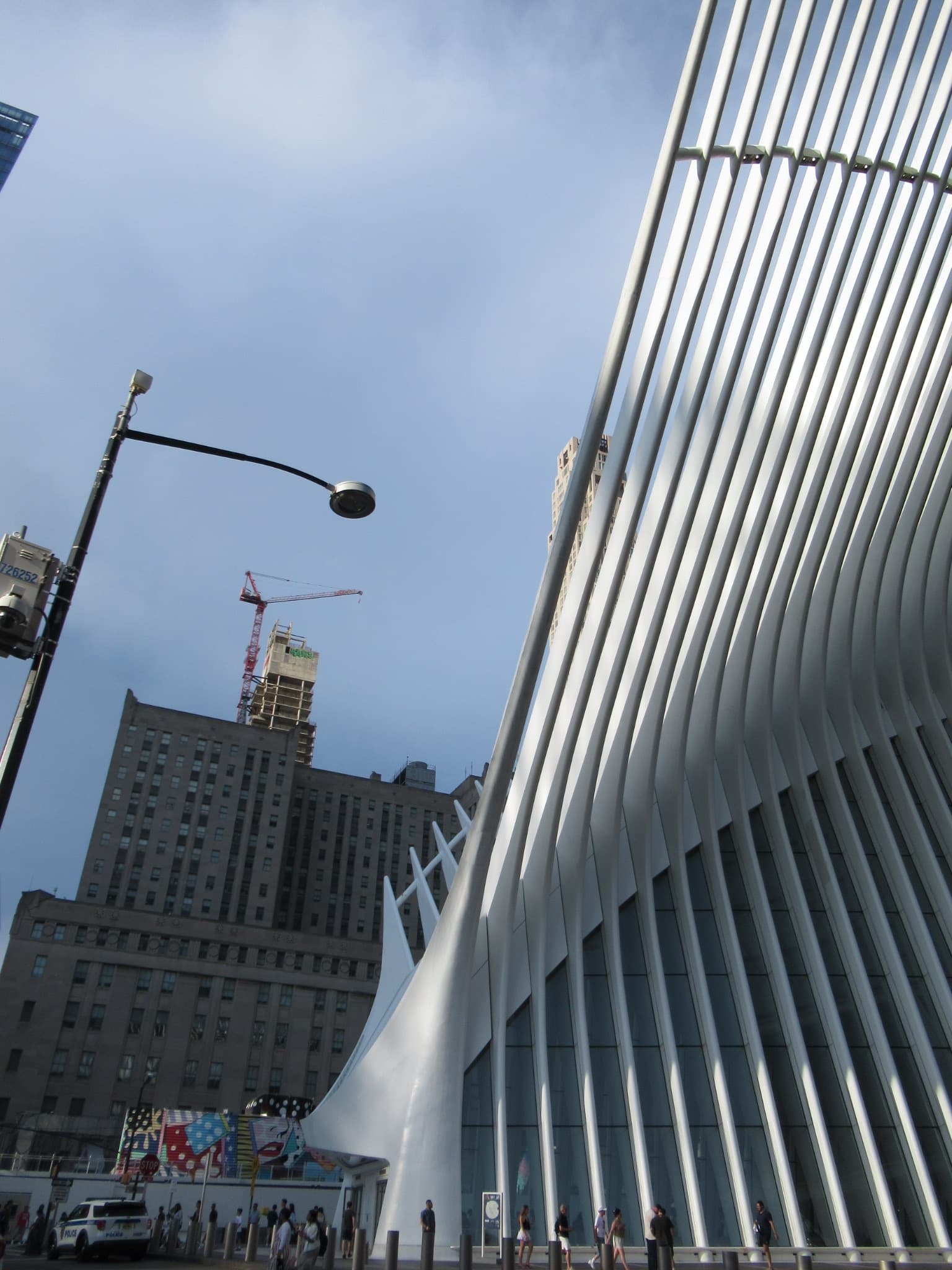 The Oculus at the World Trade Center